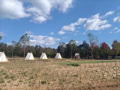 -北京西山国家森林公园