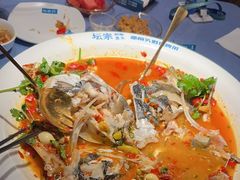 -坛宗剁椒鱼头(河西王府井店)