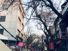 -清真李唯一优质肉丸糊辣汤