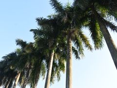 -北部湾广场