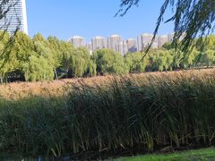 -滨湖塘西河公园