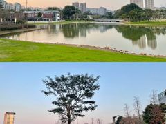 -香蜜公园