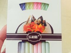 -维尔纳斯·生日蛋糕动物奶油冰淇淋蛋糕(人大店)