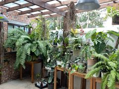 -自由生长植物工作室(深港花卉中心店)