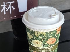 -绿堤公园