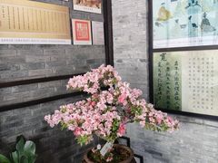 -上海方塔园