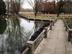 -长广溪湿地公园