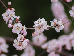 -太阳宫公园