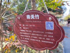 -梁鸿国家湿地公园