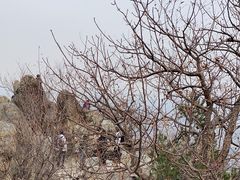 -鹫峰国家森林公园