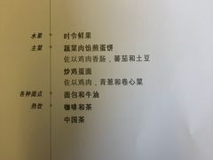 -新加坡航空公司(ION)