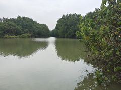-大湾区中央湿地公园