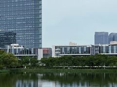 -大兴滨河森林公园