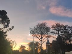 -美的鹭湖森林度假区
