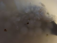 -随柳居·苏式小吃(建新巷店)