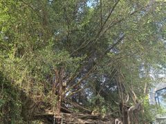 -叶氏麻糍(鼓浪屿店)