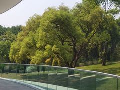 -云溪植物园