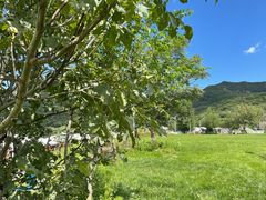 -潭柘厚院(桑峪村店)