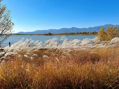 -野鸭湖国家湿地公园