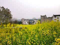 -新安江山水画廊风景区