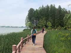 -东湖落雁景区