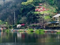 -重庆彩云湖湿地公园