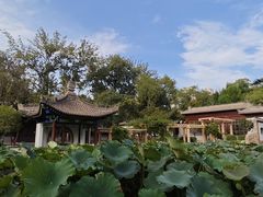 -莲湖公园