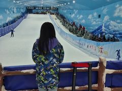 -世界之窗阿尔卑斯冰雪世界