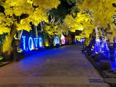 -横店影视城梦幻谷园区