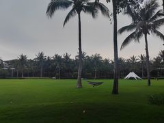 -三亚海棠湾喜来登度假酒店