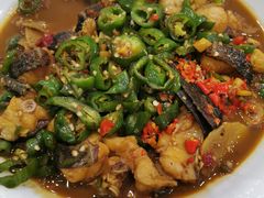 -全乐鱼馆·淳牌有机鱼直营店
