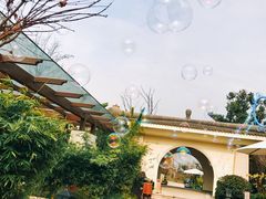 -苏州湾王焰温泉度假酒店