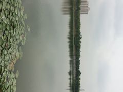 银翔湖公园-南翔镇银翔湖公园