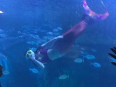 -乌鲁木齐海洋馆