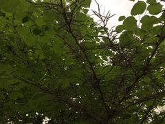-南京大学-第9食堂