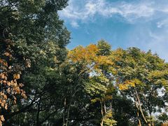 -临平公园(临平街道)