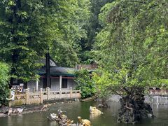 -国恩寺