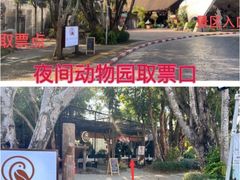 -清迈夜间动物园