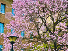 -吉林大学(新民校区)