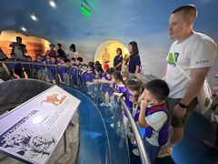 -吉而慧幼儿园-原红黄蓝幼儿园(世华水岸园)