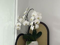 -静岸花卉园艺(三星坊店)