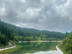-武陵山森林公园