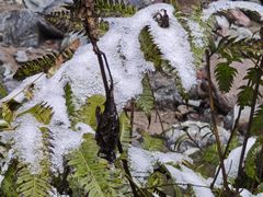 -西岭雪山大飞水景区