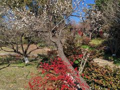 -白马涧龙池景区