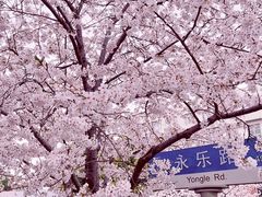 -永乐路-路侧停车场