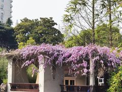 -郑和公园