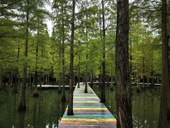 -泗洪洪泽湖湿地景区