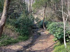 -杭州半山国家森林公园