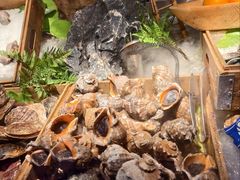 夏威夷贝-奔海甄选·活鲜刺身铁板烧自助(太原里店)
