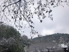 -团城山公园